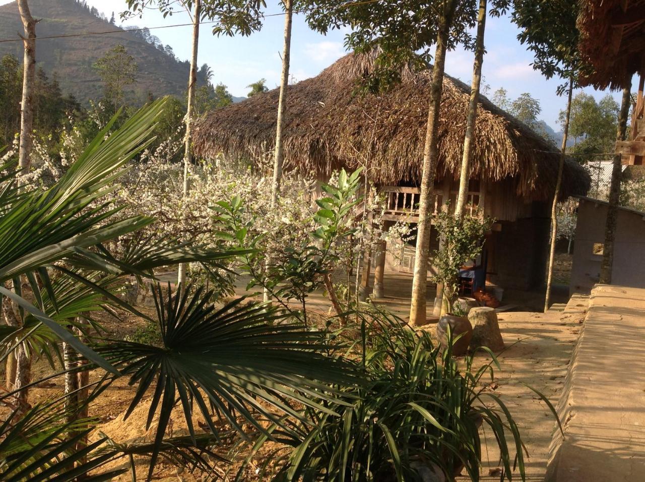 Sa House Bac Ha Apartment Exterior photo