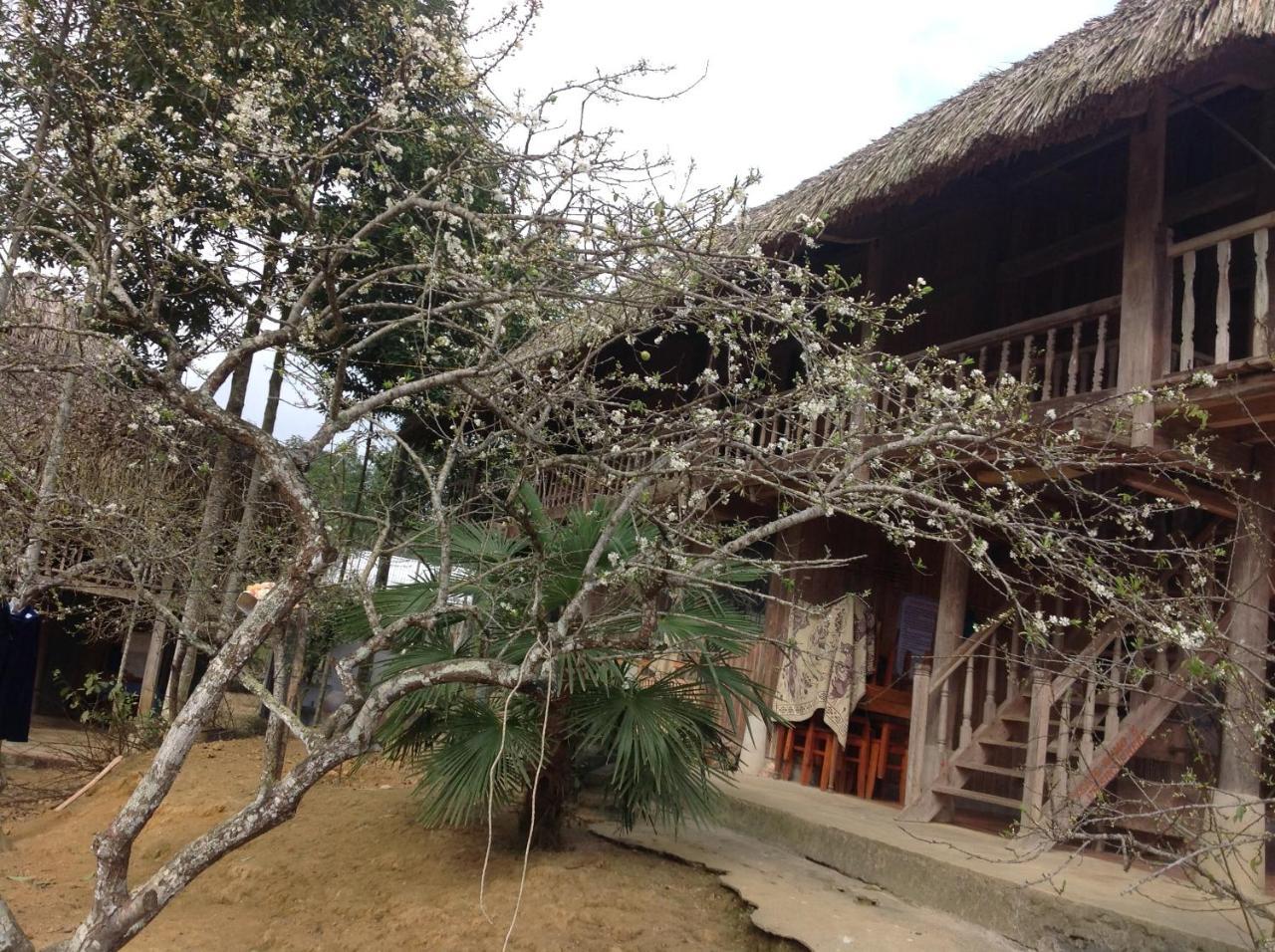 Sa House Bac Ha Apartment Exterior photo