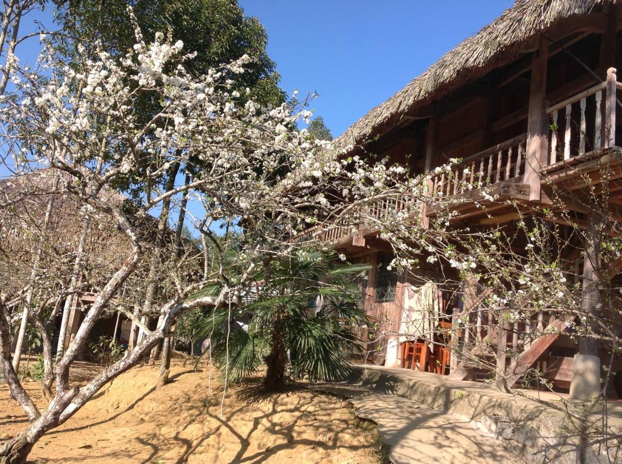 Sa House Bac Ha Apartment Exterior photo